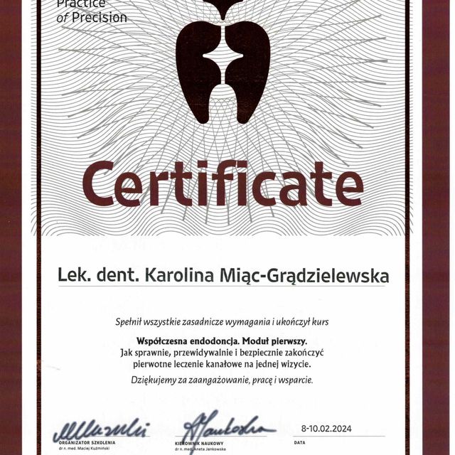 Powiększ obraz: certificate 1