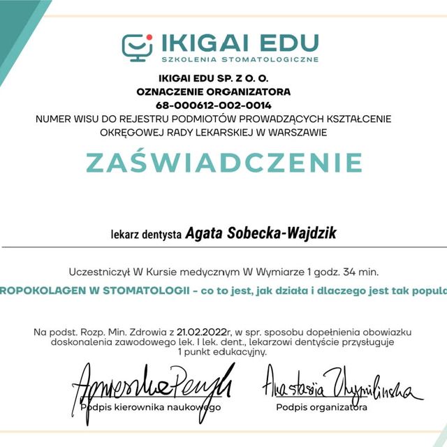 Powiększ obraz: certificate 2