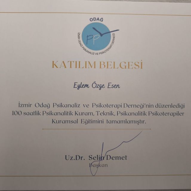 Resmi büyüt: certificate 15