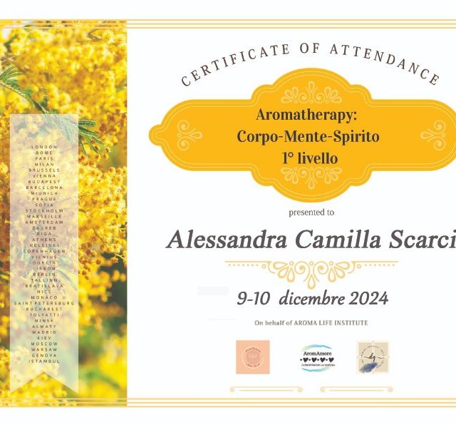 Ingrandire l'immagine: certificate 2