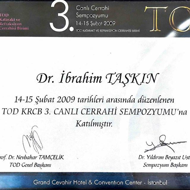 Resmi büyüt: certificate 88