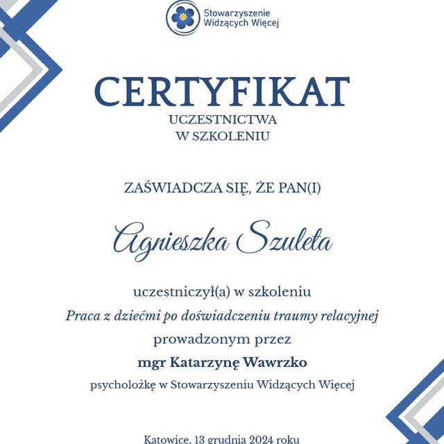 Powiększ obraz: certificate 7