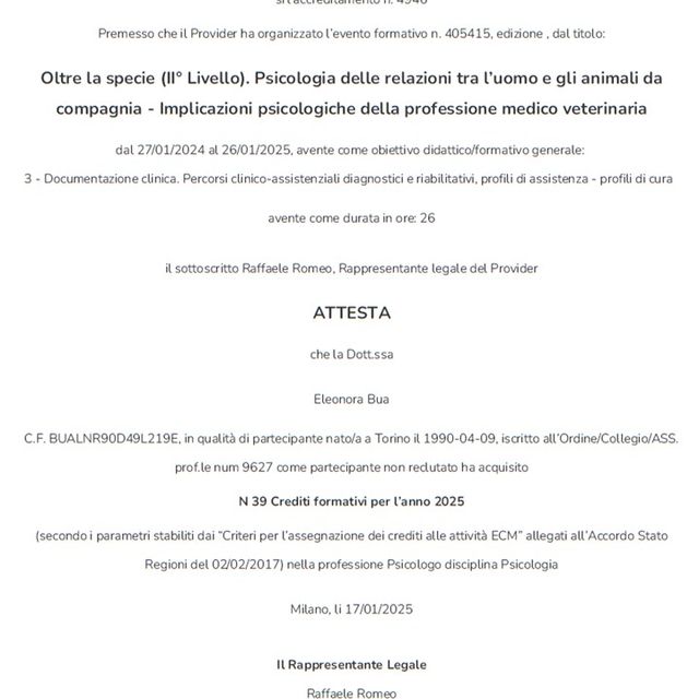 Ingrandire l'immagine: certificate 1