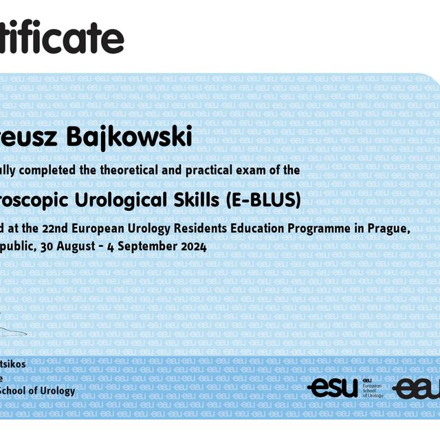 Powiększ obraz: certificate 1