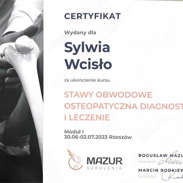 Powiększ obraz: certificate 9
