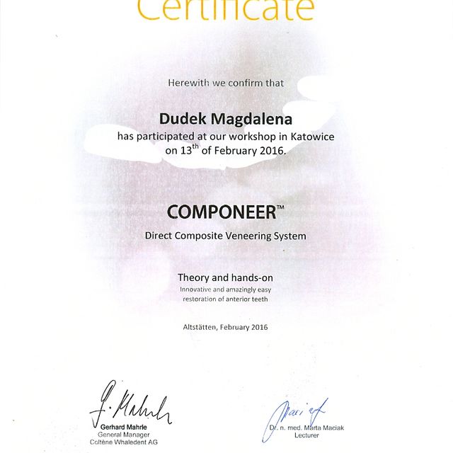 Powiększ obraz: certificate 2