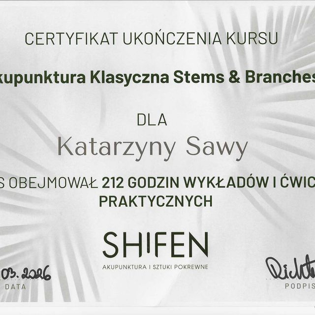 Powiększ obraz: certificate 3