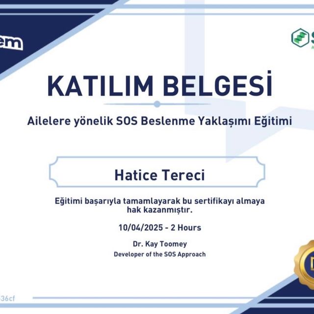 Resmi büyüt: certificate 16