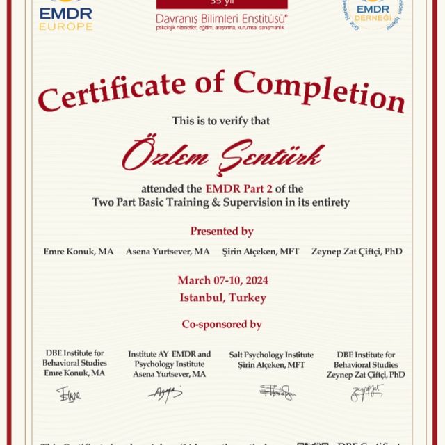 Resmi büyüt: certificate 2