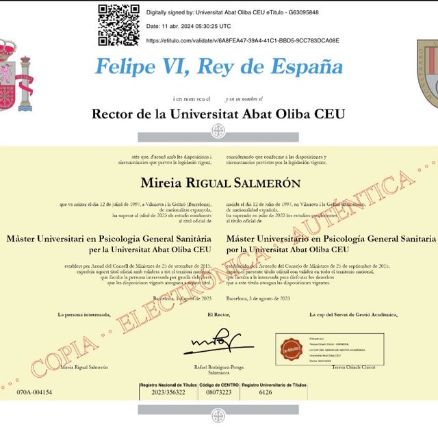Acercar imagen: certificate 5