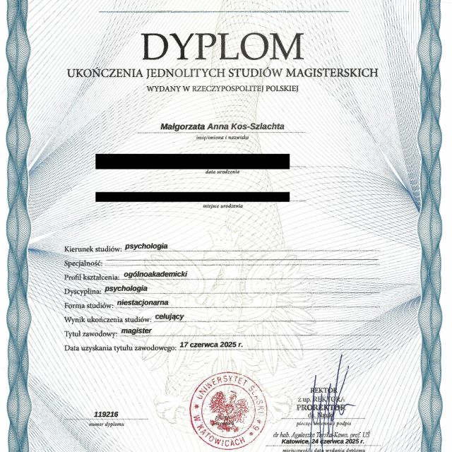 Powiększ obraz: certificate 7