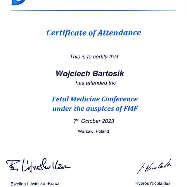 Powiększ obraz: certificate 4