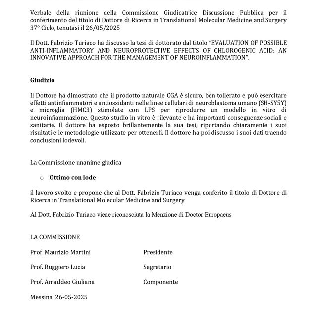 Ingrandire l'immagine: certificate 1