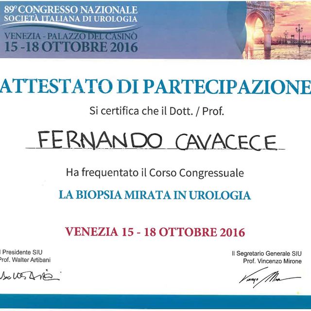 Ingrandire l'immagine: certificate 65