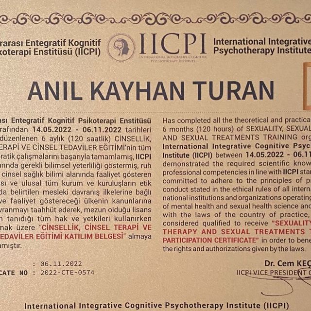Resmi büyüt: certificate 8