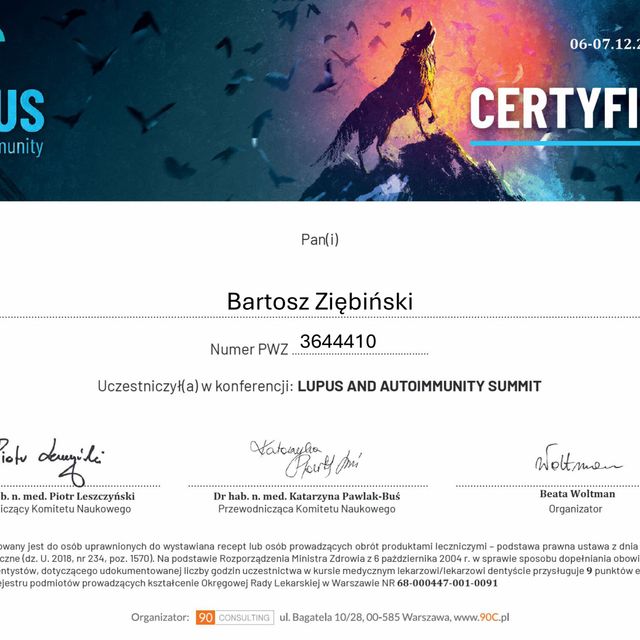 Powiększ obraz: certificate 2