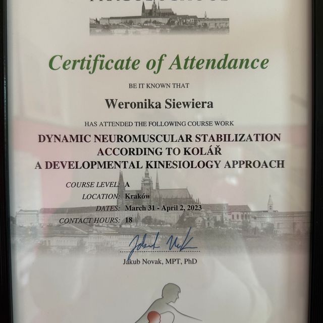 Powiększ obraz: certificate 8