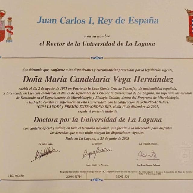 Acercar imagen: certificate 3
