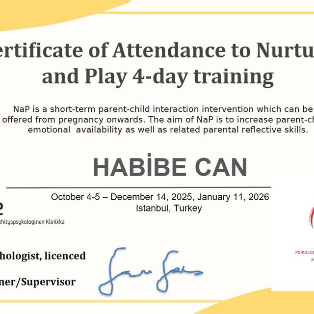Resmi büyüt: certificate 11