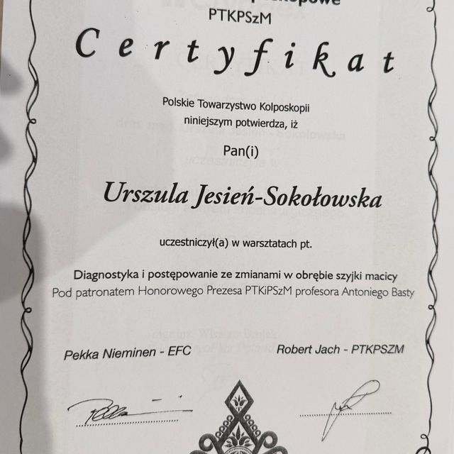 Powiększ obraz: certificate 8