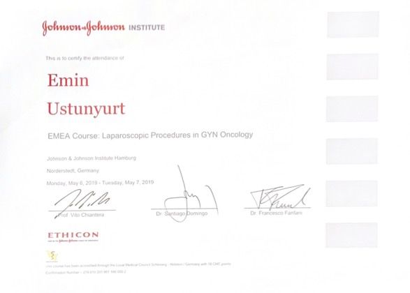 Resmi büyüt: certificate 1