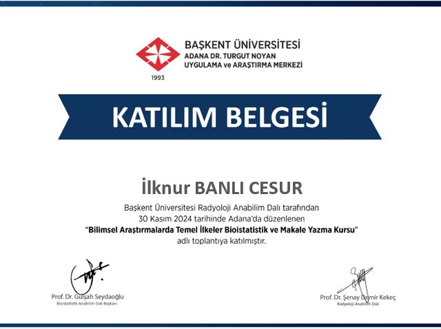 Resmi büyüt: certificate 1