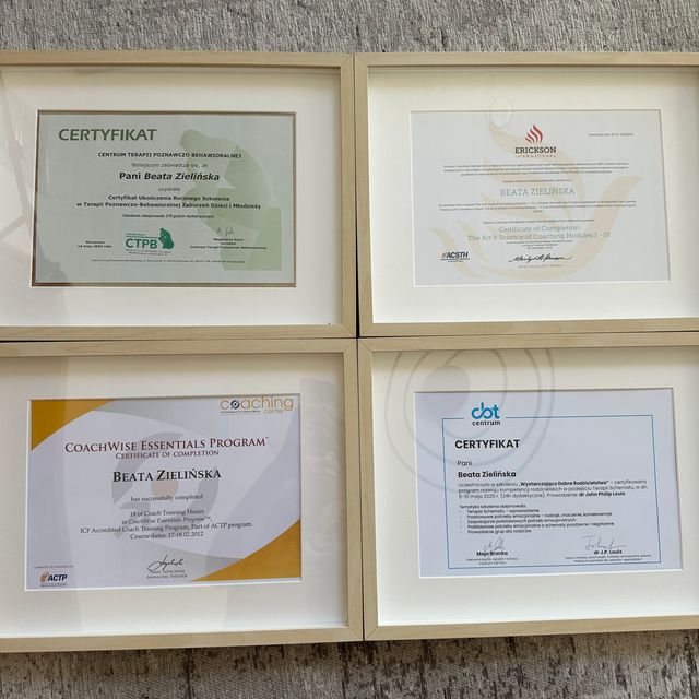 Powiększ obraz: certificate 1