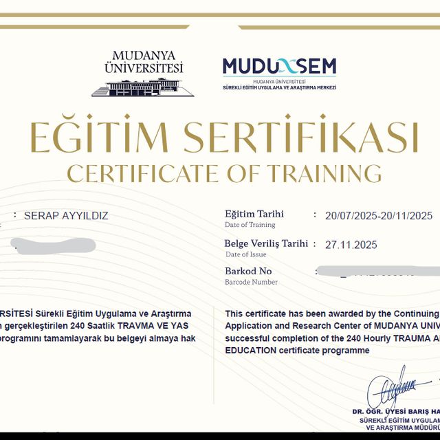 Resmi büyüt: certificate 6