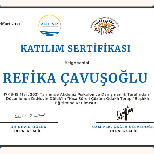 Resmi büyüt: certificate 1