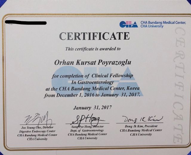 Resmi büyüt: certificate 3