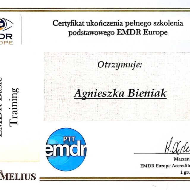 Powiększ obraz: certificate 2