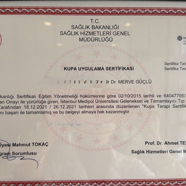Resmi büyüt: certificate 3