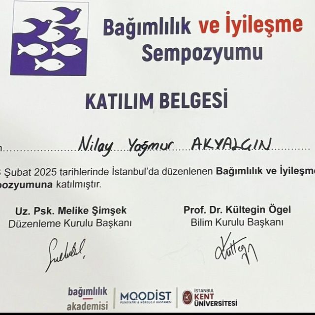 Resmi büyüt: certificate 10