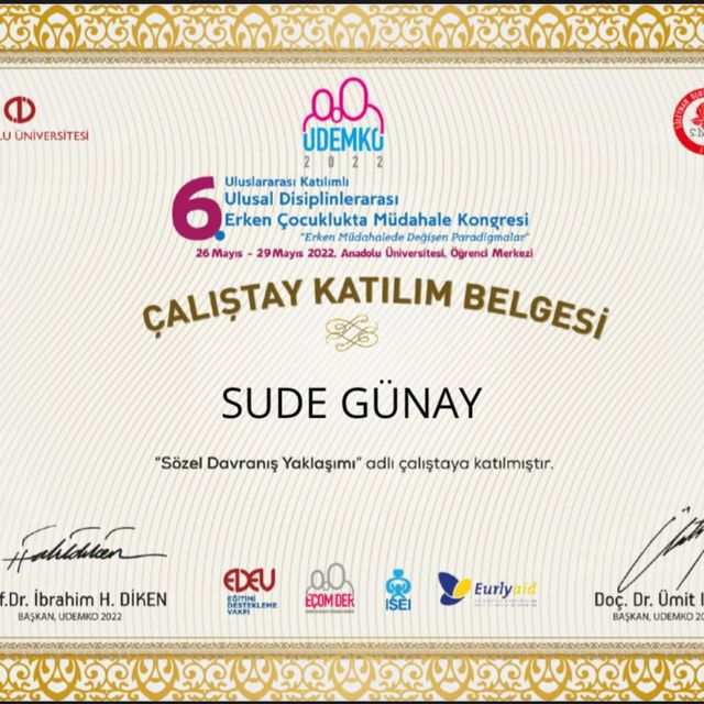 Resmi büyüt: certificate 10