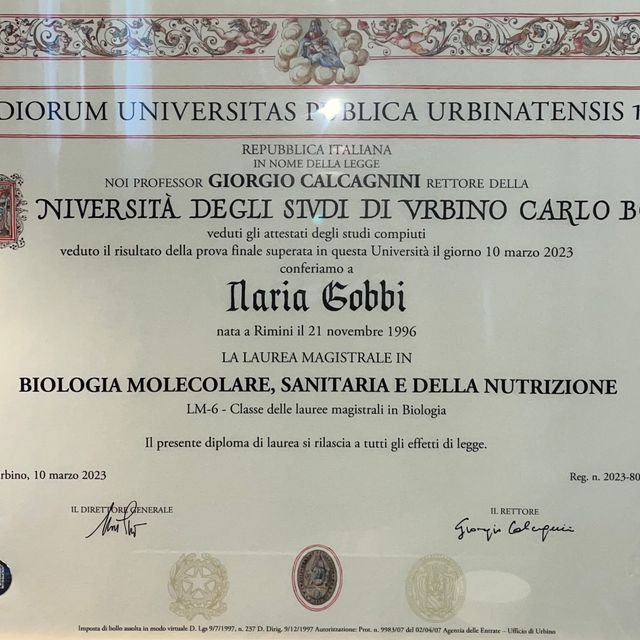 Ingrandire l'immagine: certificate 2