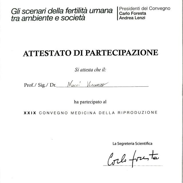 Ingrandire l'immagine: certificate 87