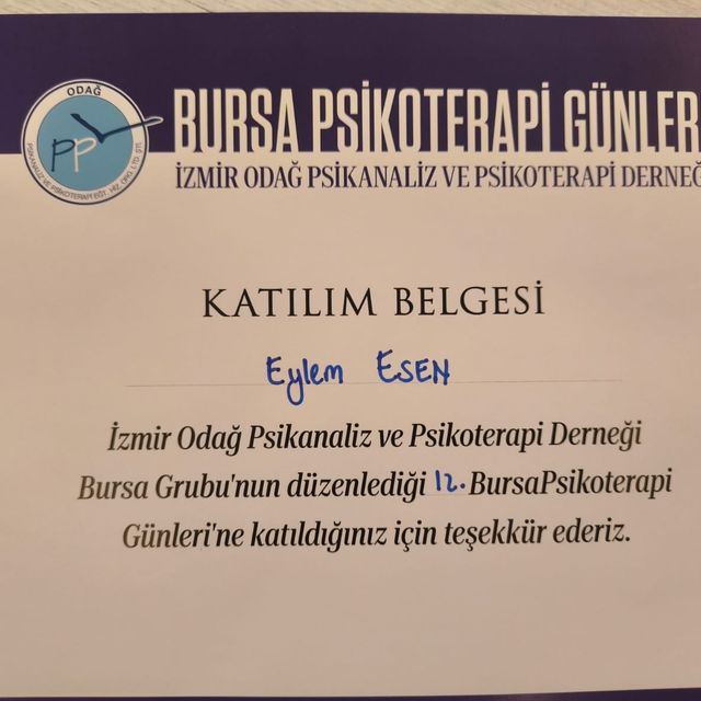Resmi büyüt: certificate 14