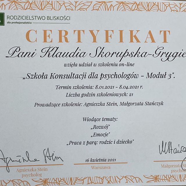 Powiększ obraz: certificate 6