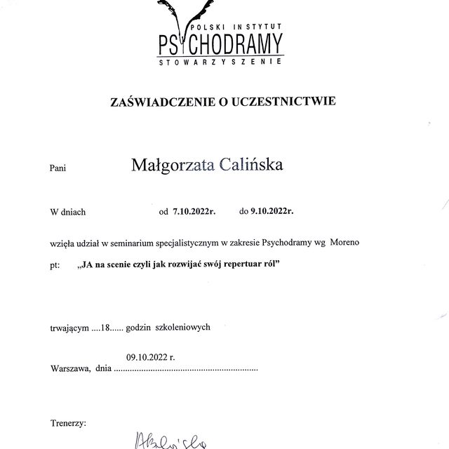 Powiększ obraz: certificate 6