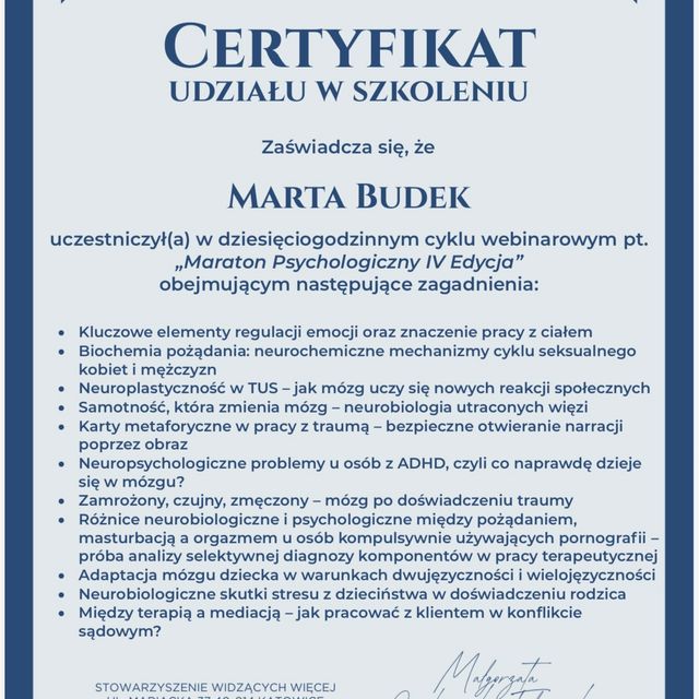 Powiększ obraz: certificate 11
