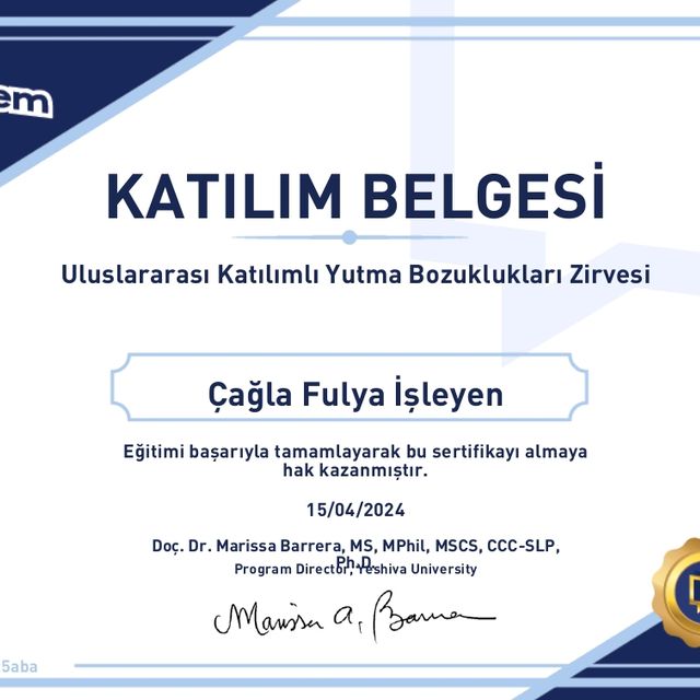 Resmi büyüt: certificate 31
