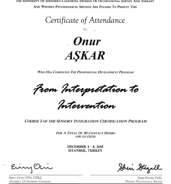 Resmi büyüt: certificate 9