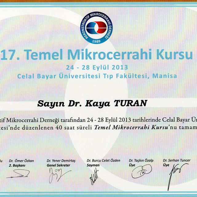 Resmi büyüt: certificate 11