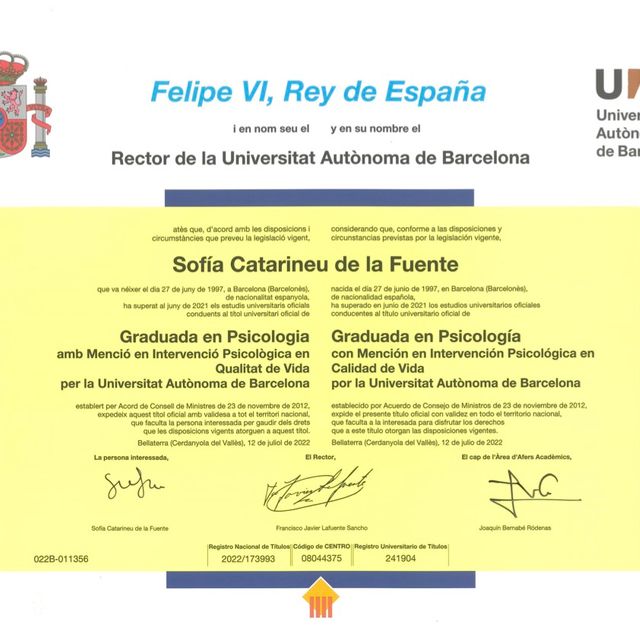 Acercar imagen: certificate 1