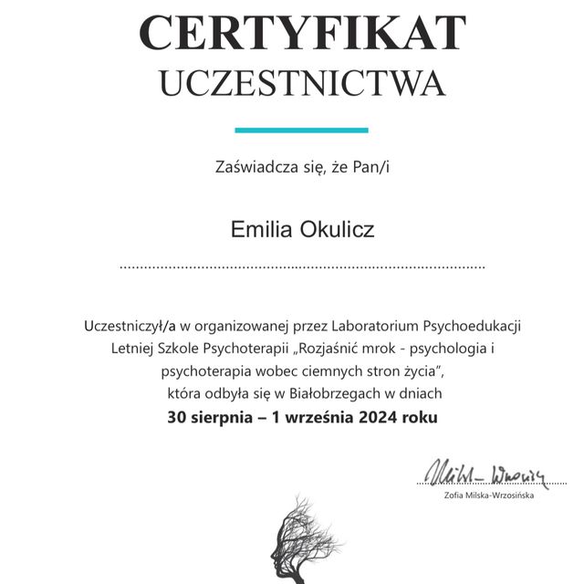 Powiększ obraz: certificate 1