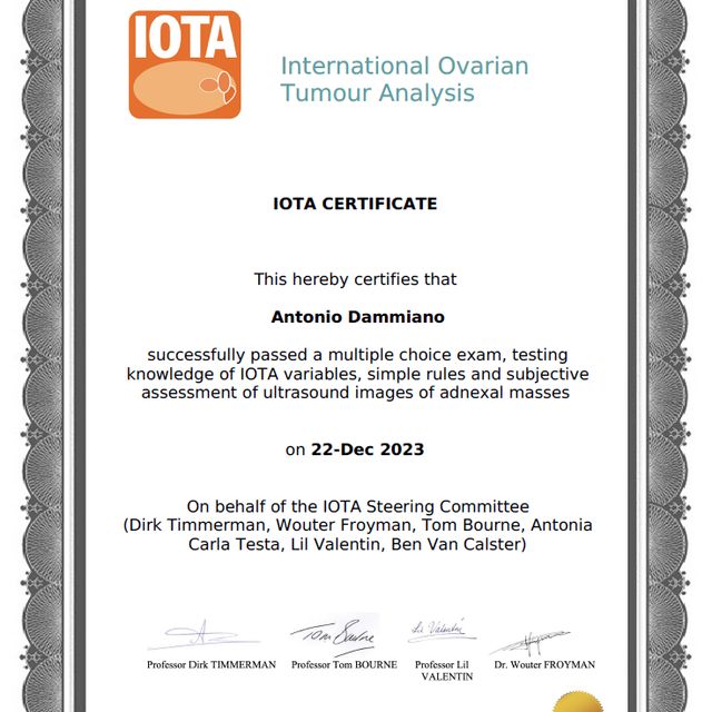 Ingrandire l'immagine: certificate 1