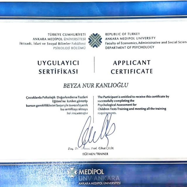Resmi büyüt: certificate 3