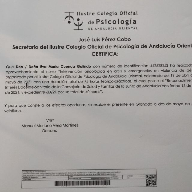 Acercar imagen: certificate 7