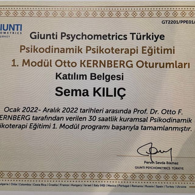 Resmi büyüt: certificate 2