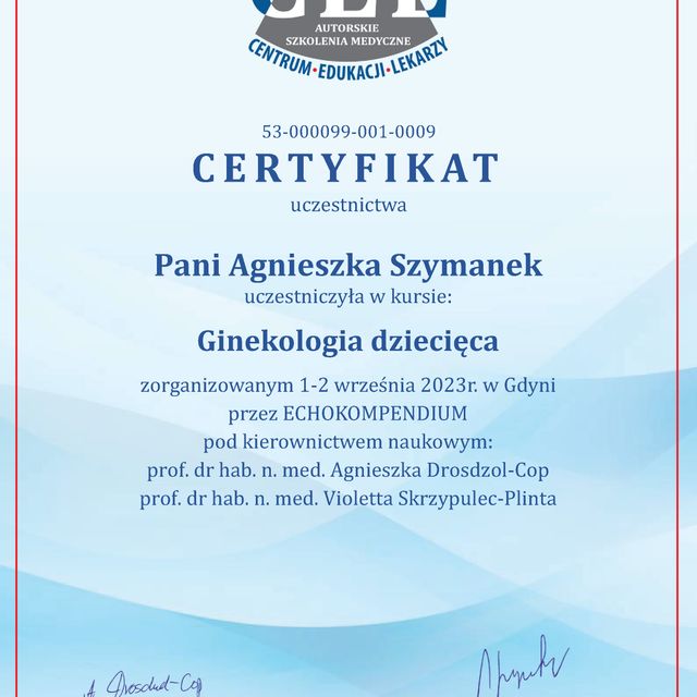Powiększ obraz: certificate 23